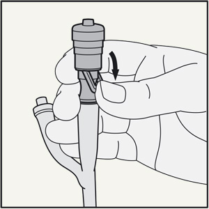 <i>fig. b</i>
