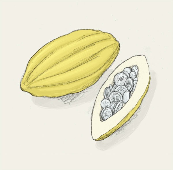 Über den Kakao II, x