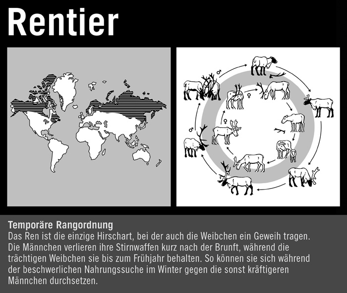 Rentier