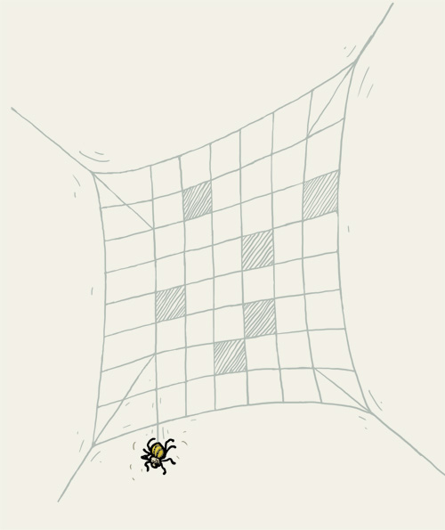 Spinne, Eine Spinne in einem Spinnenetz, das aussieht wie ein Kreuzworträtsel .